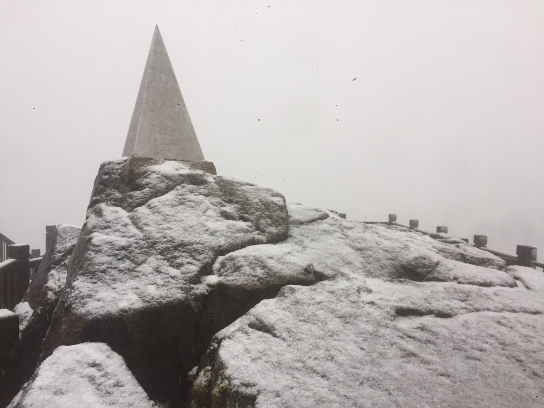 Miền Bắc rét sâu, mưa tuyết bắt đầu phủ trắng đỉnh Fansipan - Ảnh 6.