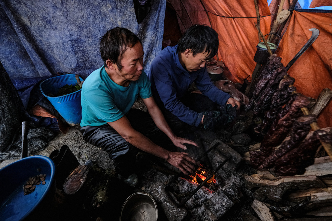 Lùa trâu xuống vùng thấp, cho uống thảo quả tránh rét - Ảnh 5.