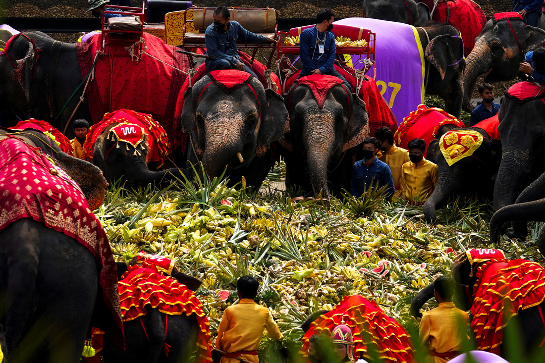 Thái Lan mở tiệc buffet cho voi - Ảnh 1.
