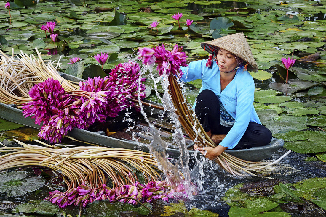 Triển lãm Quê hương qua ống kính nữ nhiếp ảnh gia - Ảnh 9.