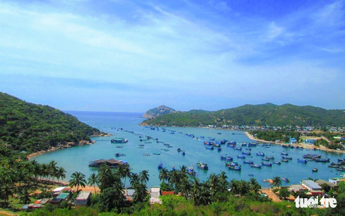 Mê mẩn khung cảnh biển, núi và rừng trên cung đường ven biển Ninh Thuận - Khánh Hòa - Ảnh 9.