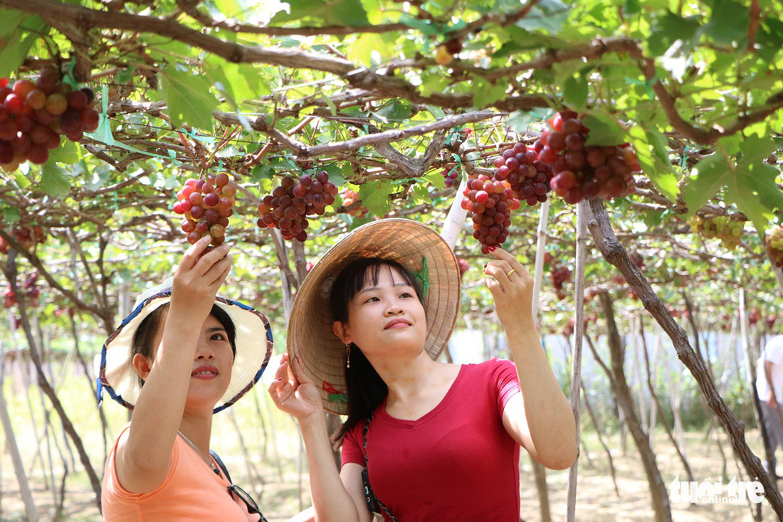 Mê mẩn khung cảnh biển, núi và rừng trên cung đường ven biển Ninh Thuận - Khánh Hòa - Ảnh 5.