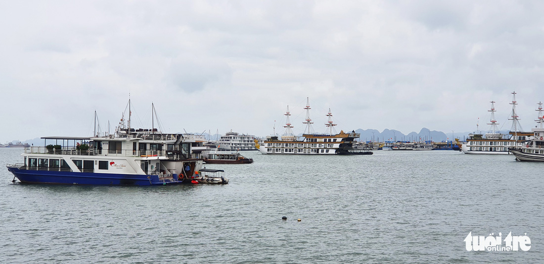 Lễ hội, pháo hoa, nhiều hoạt động lên rừng xuống biển chờ đón khách dịp lễ - Ảnh 3.