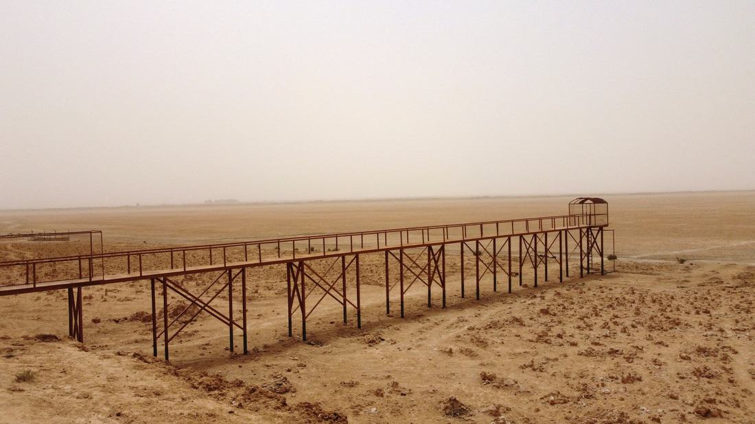 Biến đổi khí hậu khiến hồ rộng 5km vuông ở Iraq thành cái ao nhỏ - Ảnh 4.