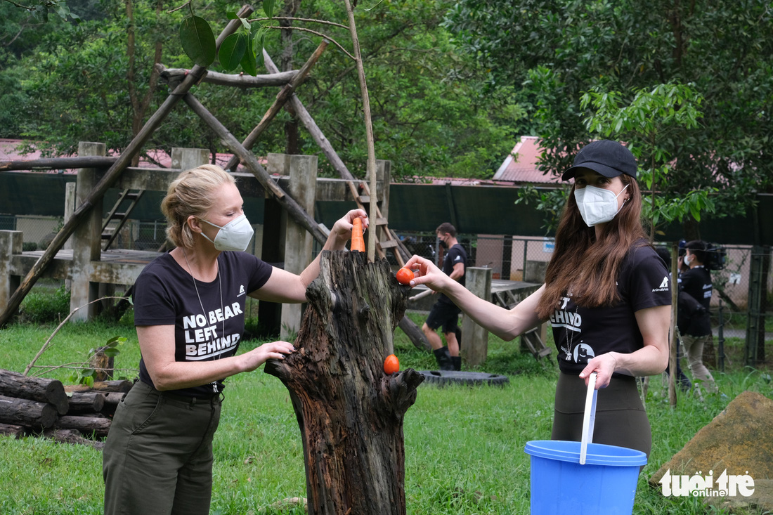 Tăng Thanh Hà cùng sao quốc tế trải nghiệm chăm sóc gấu tại Việt Nam - Ảnh 1.