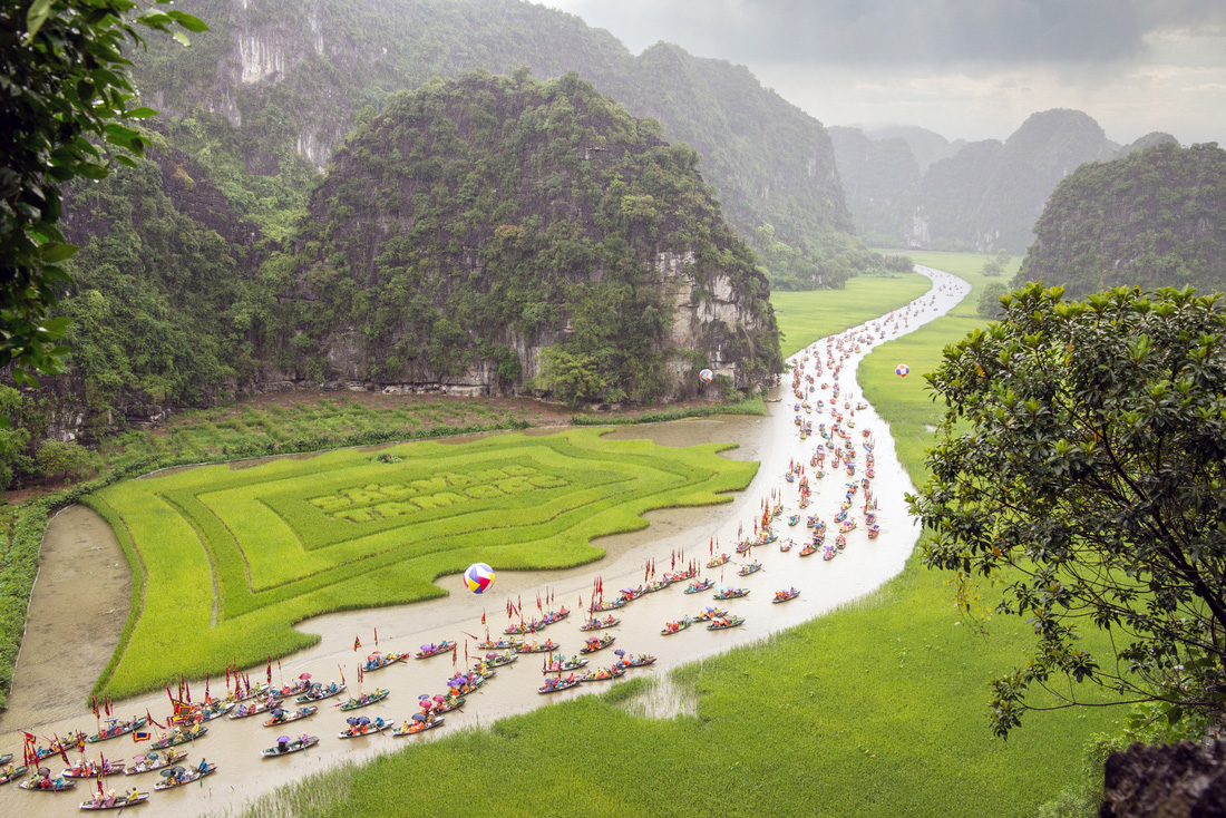 Check-in mùa lúa chín Sắc vàng Tam Cốc - Tràng An - Ảnh 1.