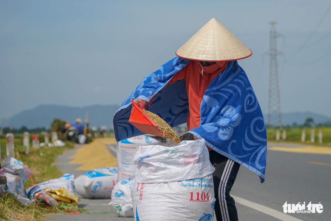 Người dân phơi thóc trên quốc lộ vì ‘không còn chỗ nào phơi’ - Ảnh 2.