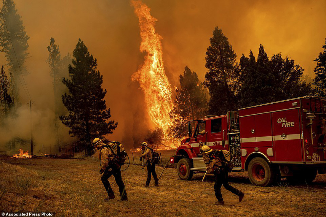 Cháy rừng kinh hoàng ở California, hơn 10.000 người sơ tán - Ảnh 6.