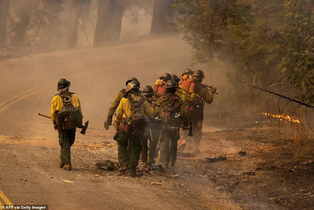 Cháy rừng kinh hoàng ở California, hơn 10.000 người sơ tán - Ảnh 7.