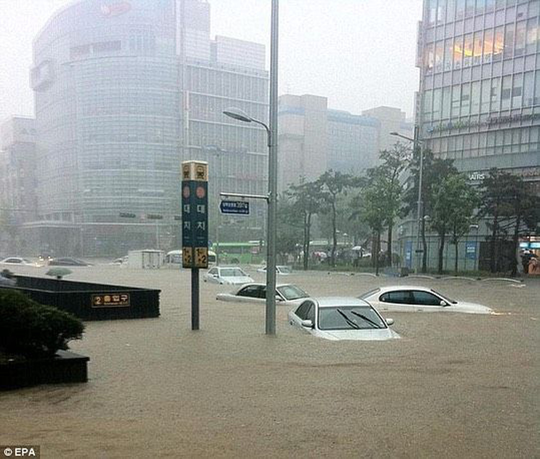 Xe sang và siêu xe đắp chiếu kỷ lục sau trận lụt tại khu nhà giàu Gangnam ở Seoul - Ảnh 4.