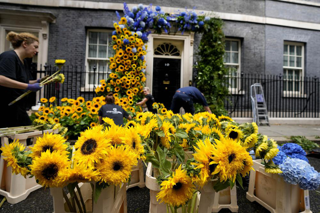 Phủ thủ tướng Anh dựng cổng hoa hướng dương để ủng hộ Ukraine - Ảnh 2.