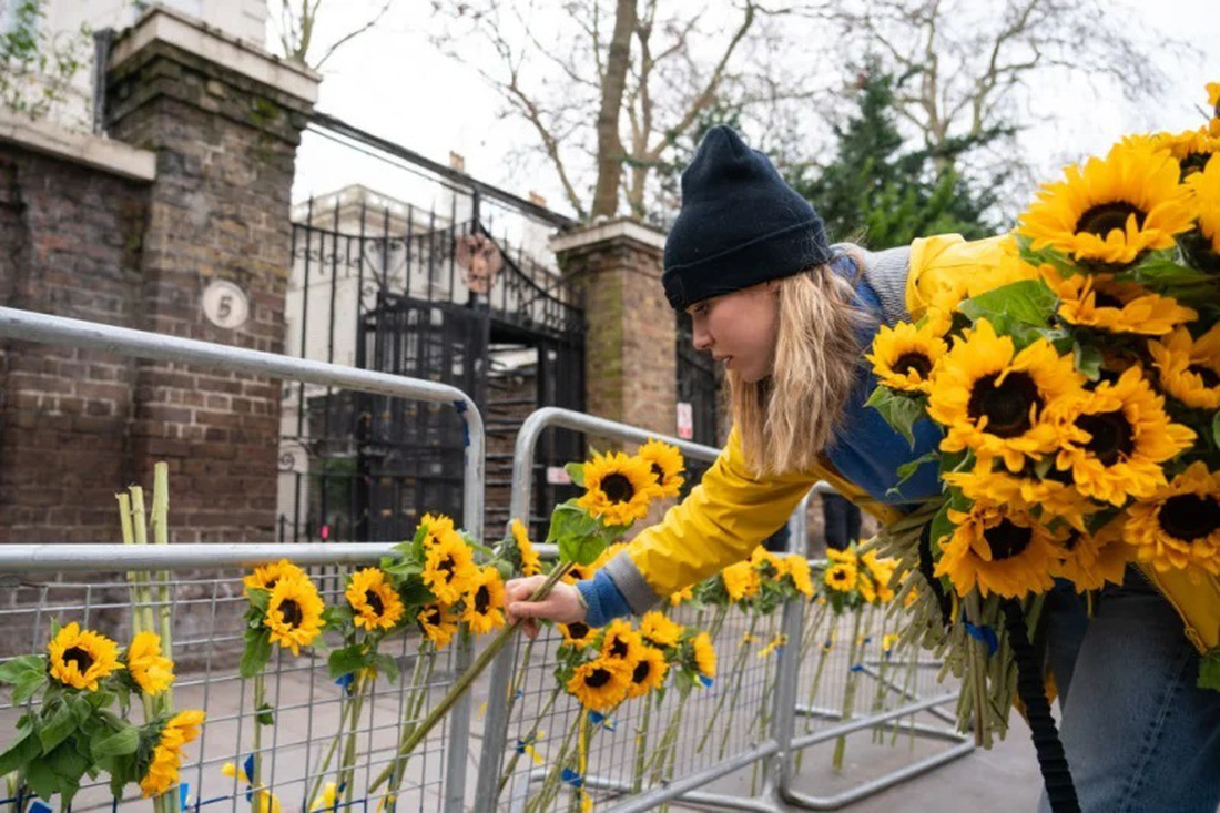 Phủ thủ tướng Anh dựng cổng hoa hướng dương để ủng hộ Ukraine - Ảnh 6.