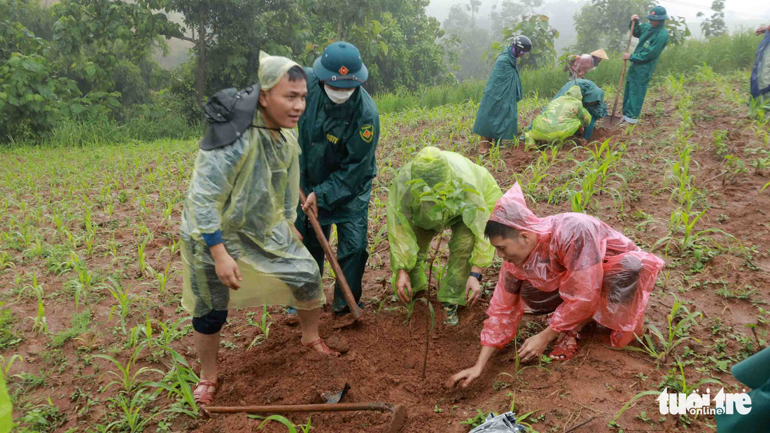 Cánh rừng Nguyễn Huy Thiệp ở bản Hua Tát - Ảnh 1.