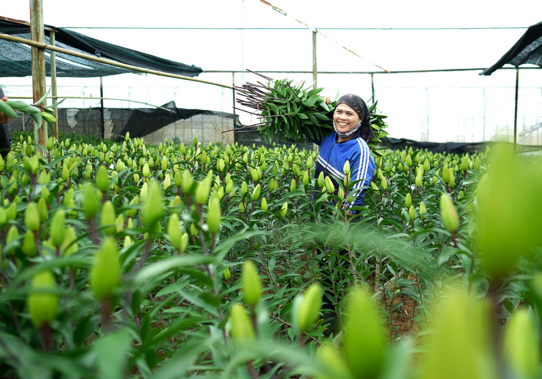 Tin sáng 31-8: Trước lễ 2-9 giá rau tăng, giá hoa giảm; thời tiết thuận lợi, đề phòng mưa dông - Ảnh 5.