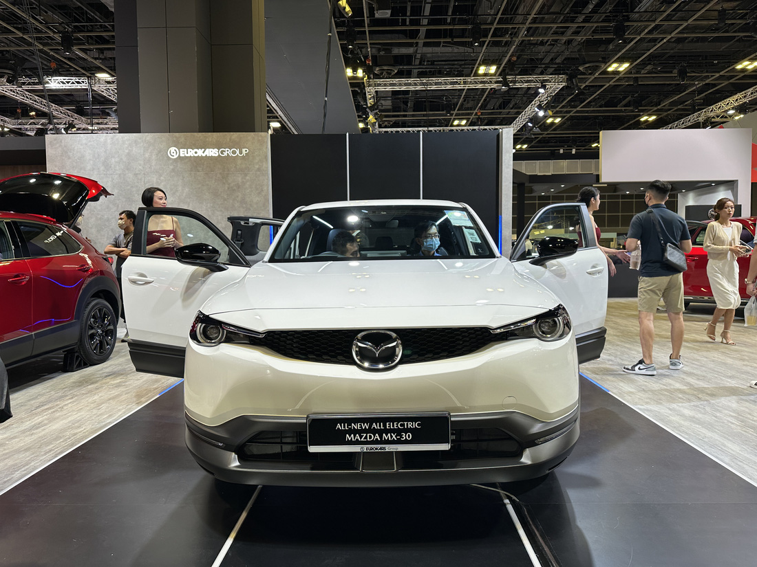 Toàn cảnh Singapore Motor Show 2023 đang diễn ra: Nhiều xe có thể sớm mở bán tại Việt Nam - Ảnh 10.