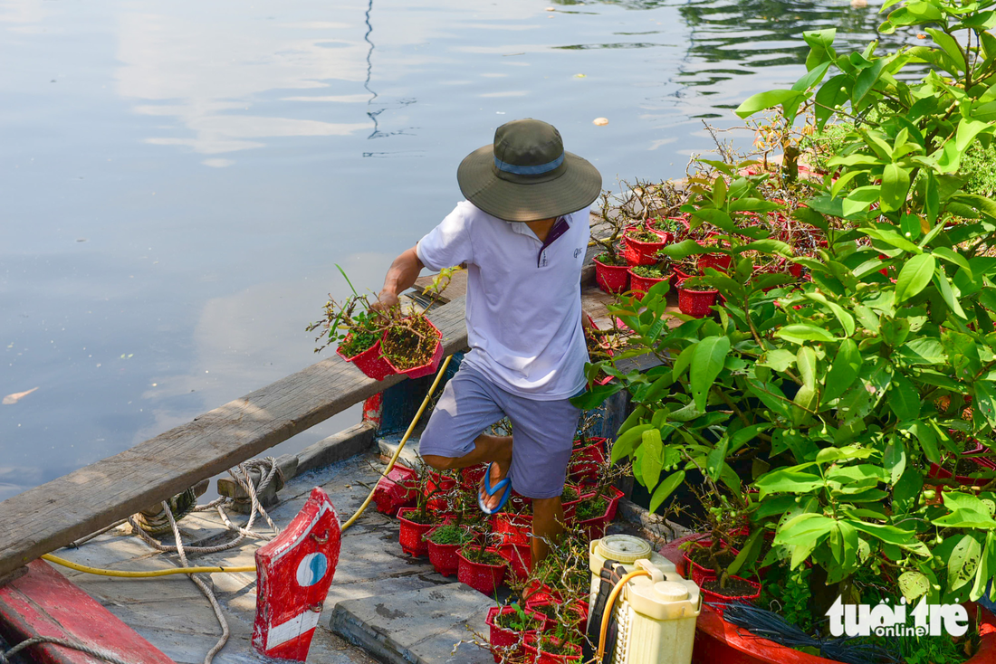 Ghe chở hoa miền Tây cập Bến Bình Đông phục vụ bà con TP.HCM chơi Tết - Ảnh 5.