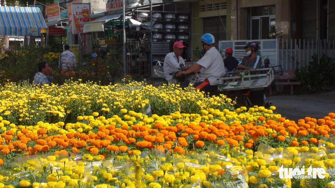 Chợ hoa miền Tây: Người người chở mùa xuân dịp Tết - Ảnh 4.