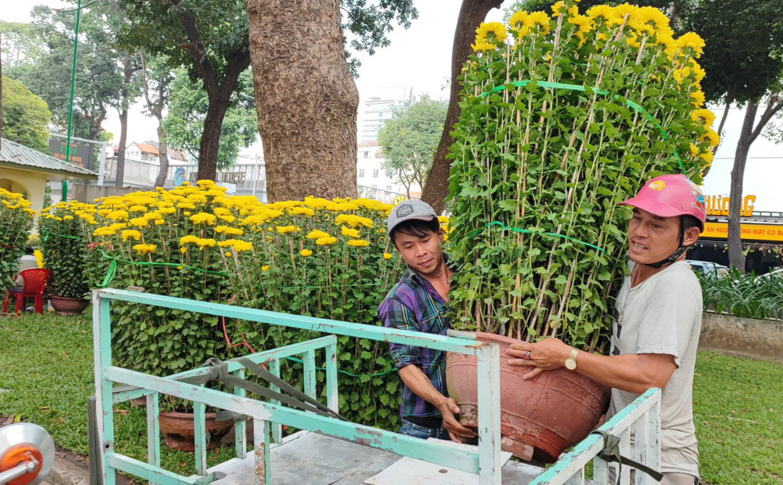 Hoa Tết: sức mua đã tăng - Ảnh 6.