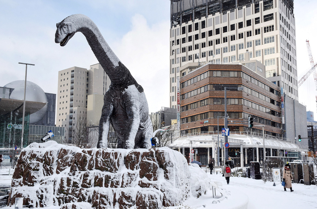 Tuyết rơi dày cả mét, người dân Nhật Bản chật vật trong giá rét kỷ lục - Ảnh 4.