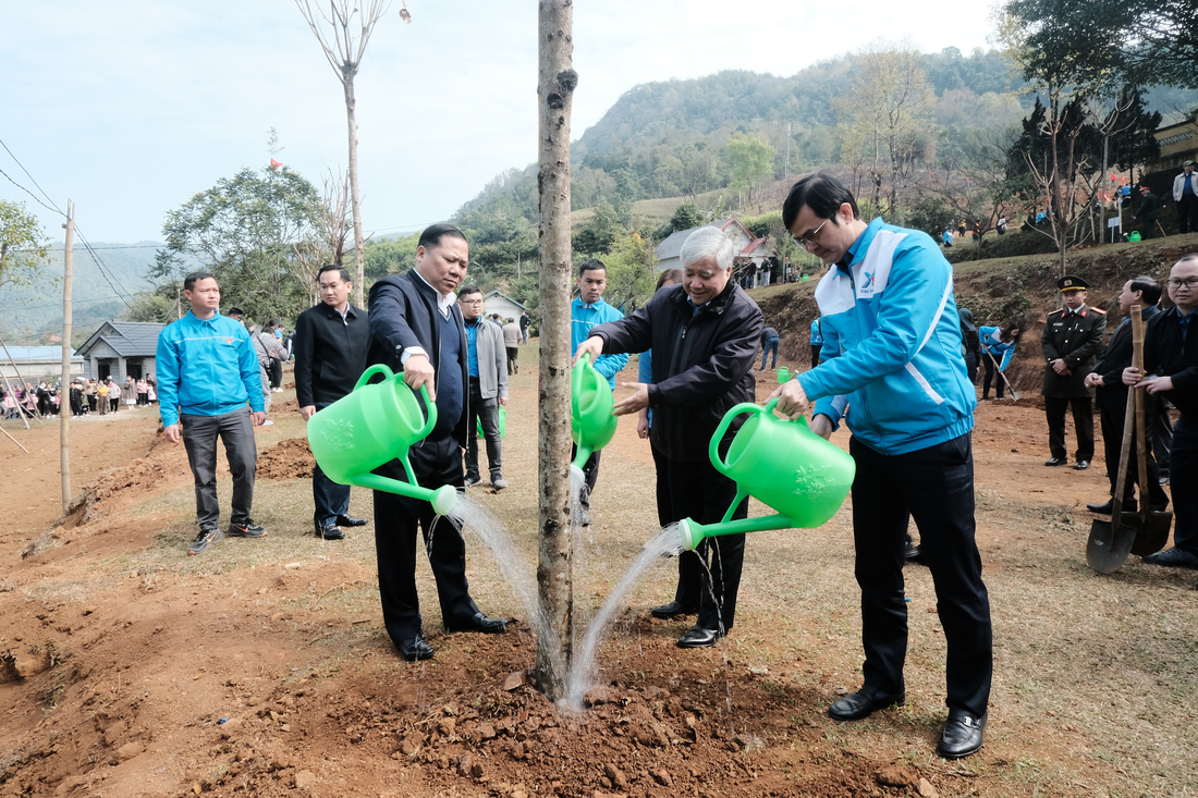 Trồng 20 triệu cây xanh năm 2023: Trồng bền vững, không chạy theo số liệu ảo - Ảnh 1.