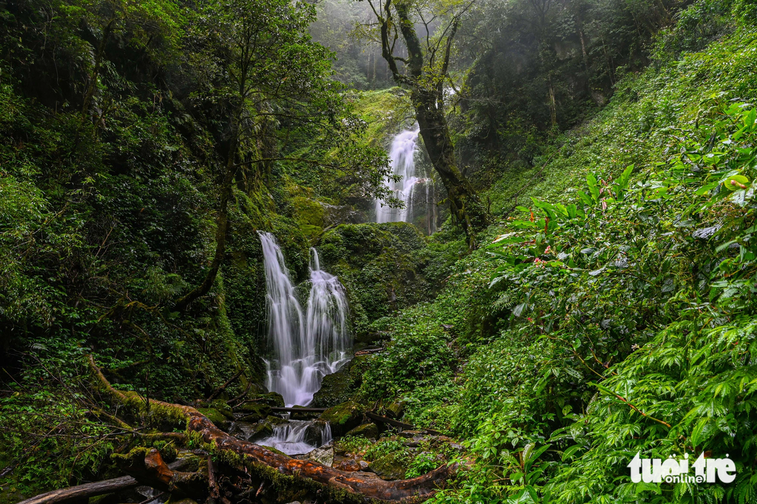 Những thác nước hùng vĩ cùng vạt rừng nguyên sinh là 