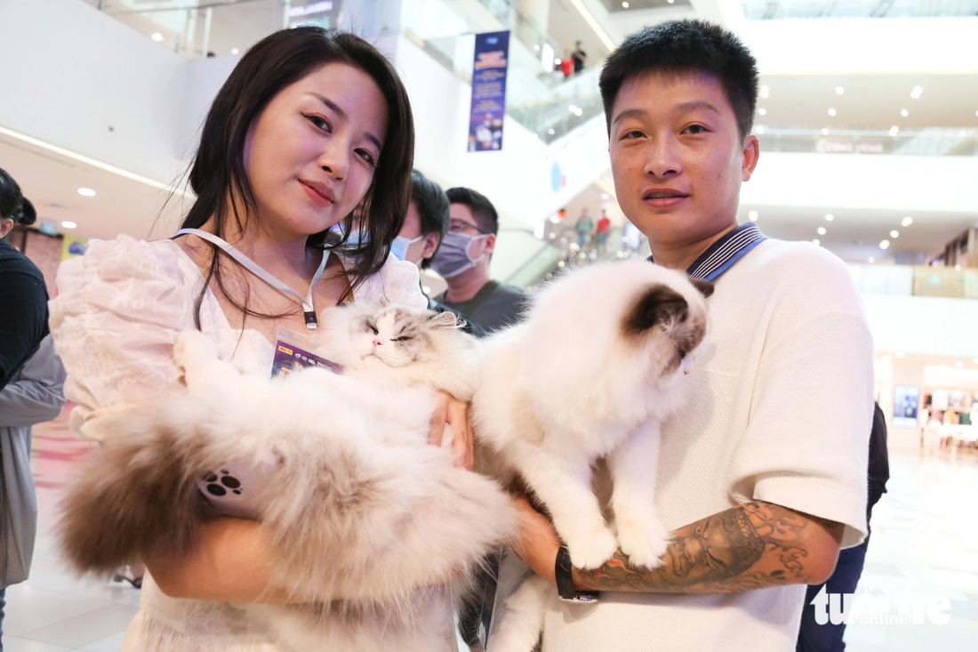 Cuộc thi quy tụ các giống mèo trong và ngoài nước. Trong ảnh: hai du khách Trung Quốc mang theo hai giống mèo độc đáo đến Việt Nam để tranh tài 