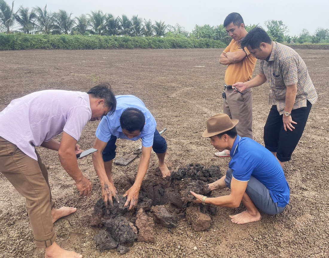 Người nuôi rươi ở huyện Vĩnh Bảo, TP Hải Phòng kiểm tra quá trình phát triển của rươi trước vụ thu hoạch năm 2023 - Ảnh: TIẾN THẮNG