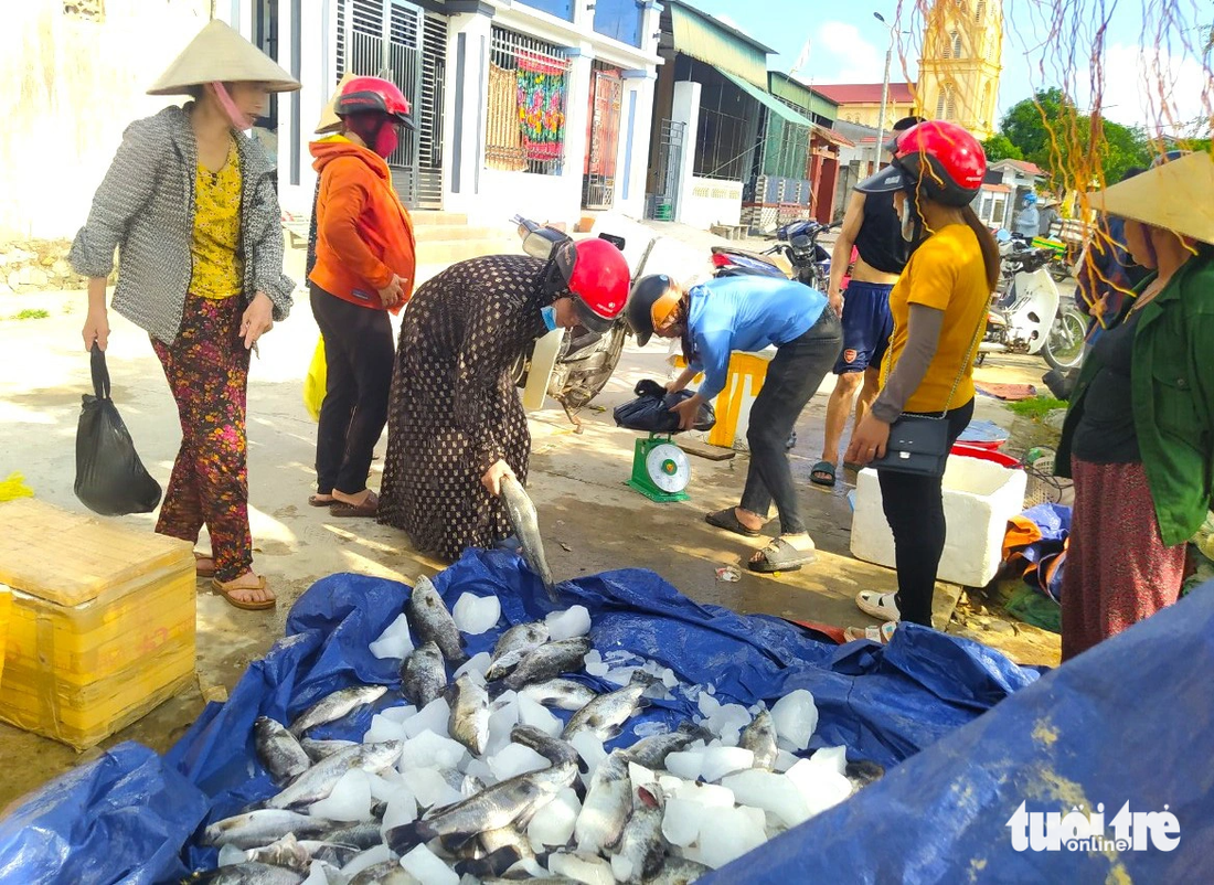 Nhiều người biết được tin cá nuôi lồng bè của người dân thôn Sông Hải bị chết nên đến chung tay mua hỗ trợ các hộ nuôi - Ảnh: LÊ MINH