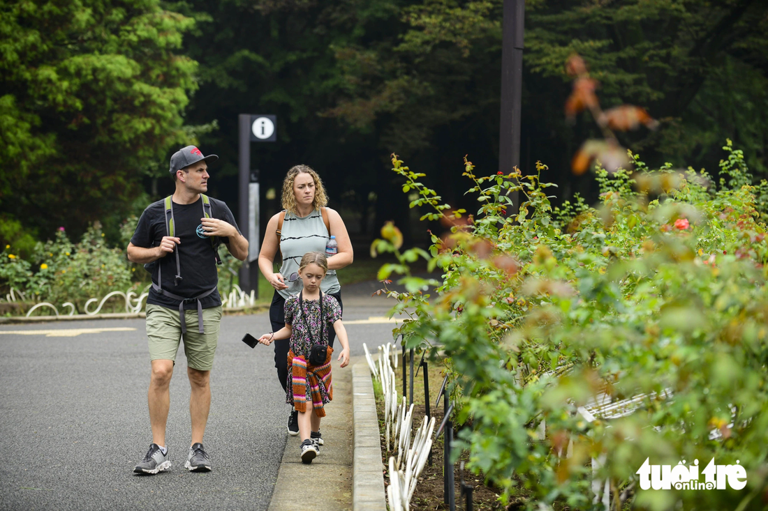 Hằng ngày, công viên đón một lượng khách tấp nập trong và ngoài nước đến thư giãn, khám phá &quot;lá phổi xanh&quot; của thủ đô Tokyo