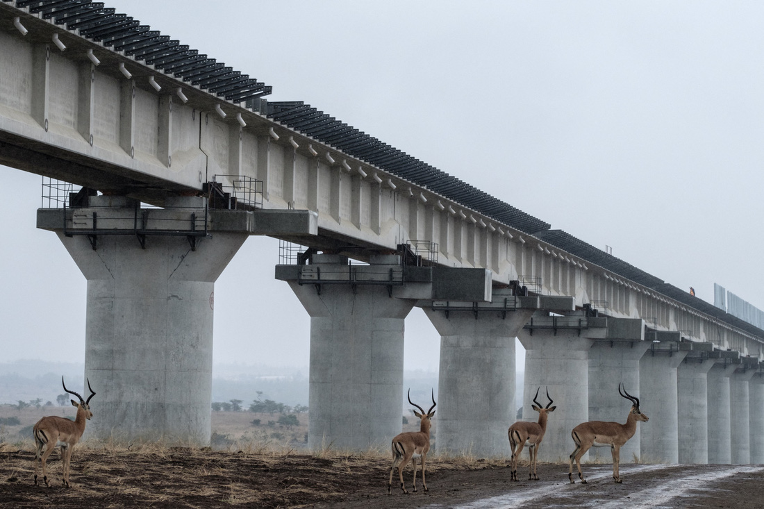 Động vật hoang dã ở công viên quốc gia Nairobi, Kenya - Ảnh: AFP