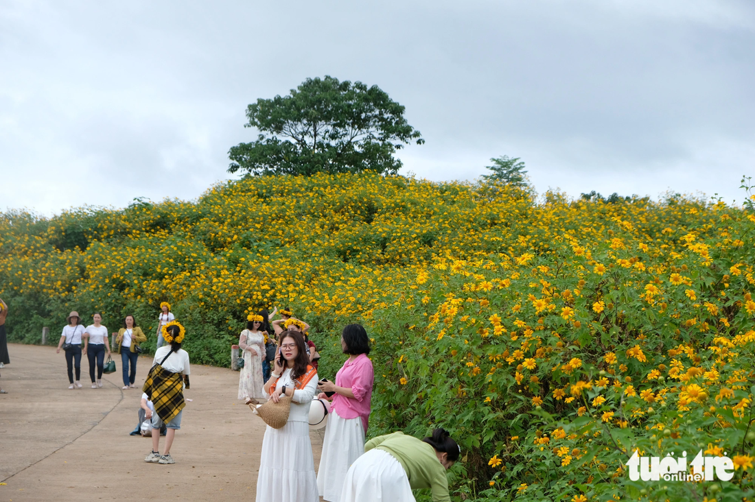 In recent days, thousands of visitors have come to visit and take photos - Photo: DINH CUONG