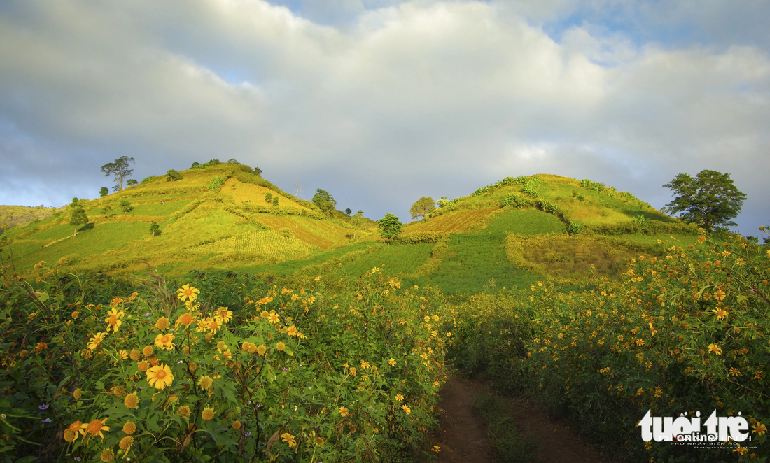 The mountain cluster includes a complex of 3 small volcanoes located close together, formed tens of thousands of years ago - Photo: DOAN VINH