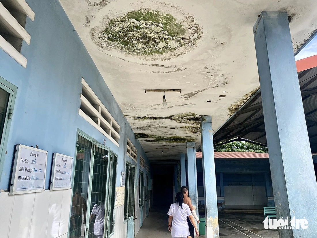 Hành lang nhiều khoa phòng tại Bệnh viên Tâm thần Đà Nẵng rêu mốc khắp nơi sau mưa - Ảnh: TRƯỜNG TRUNG