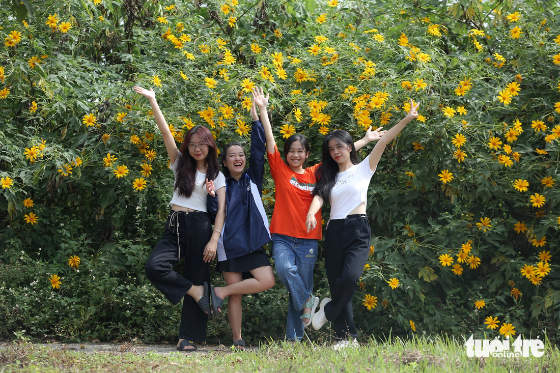 Hanoi National University students check-in playfully with wild sunflowers - Photo: HOANG Tung