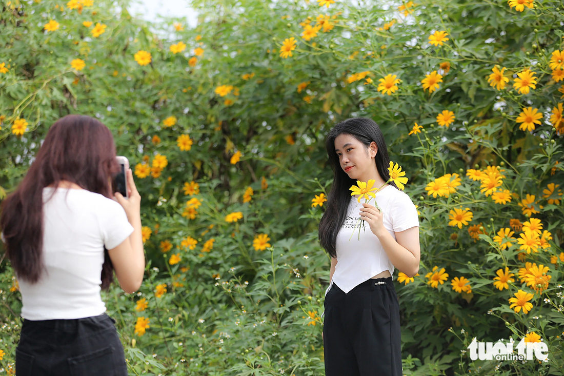 Many female students took advantage of taking photos with flowers during the time when they were in full bloom - Photo: HOANG Tung