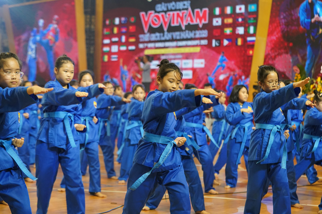 Đồng diễn võ nhạc vovinam học đường của 700 em học sinh - Ảnh: QUANG LIÊM