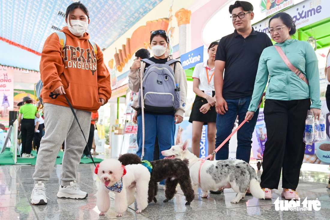 Sáng 25-11, những người yêu thú cưng có dịp hội ngộ trong Ngày hội thú cưng “Pet Perfect” tại khu du lịch văn hóa Suối Tiên (TP Thủ Đức)