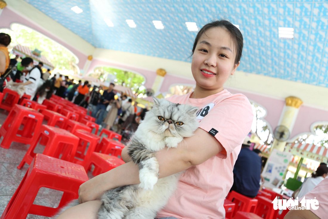 Chị   Phương Nguyên  (quận Phú Nhuận) bên em mèo Ba Tư có đôi mắt lai nâu, lần đầu đi chinh chiến