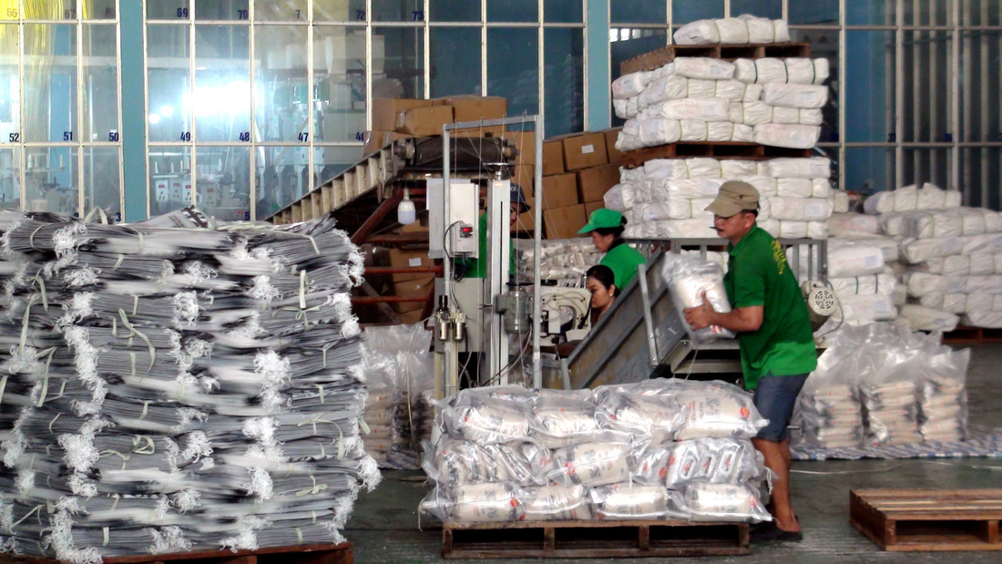 Đóng gói gạo xuất khẩu tại Công ty TNHH xuất nhập khẩu Chơn Chính (Đồng Tháp) - Ảnh: ĐẶNG TUYẾT