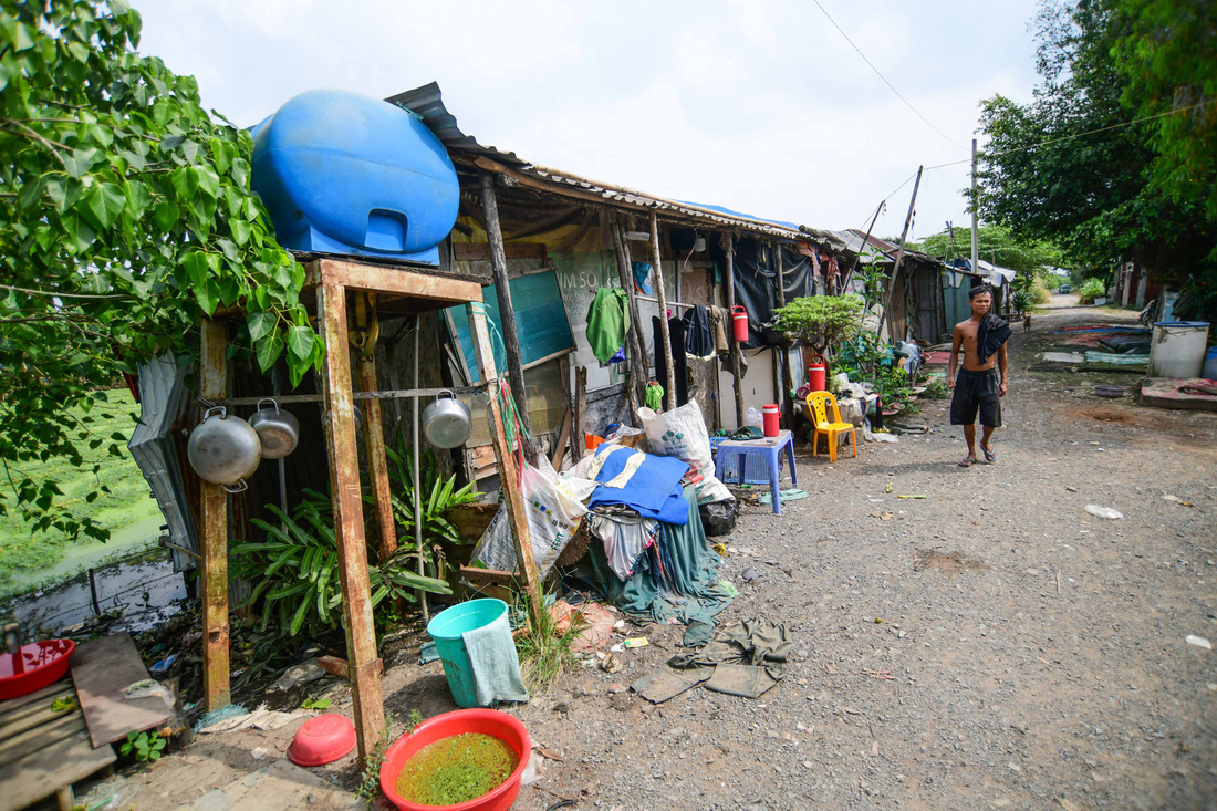 Một dãy nhà trọ tạm của những công nhân tỉnh Trà Vinh thuê ở để trồng rau nhút trong khu vực quy hoạch. Quận 12 đã đề xuất UBND TP được bố trí vốn đầu tư công trung hạn giai đoạn 2021-2025 để thực hiện bồi thường giải phóng mặt bằng cho 444 trường hợp hộ dân bị ảnh hưởng vì dự án - Ảnh: QUANG ĐỊNH