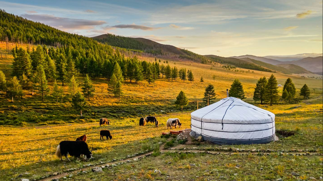 Mông Cổ là điểm đến thú vị dành cho những du khách yêu thích thiên nhiên hoang dã - Ảnh: WORLD TRAVEL GUIDE