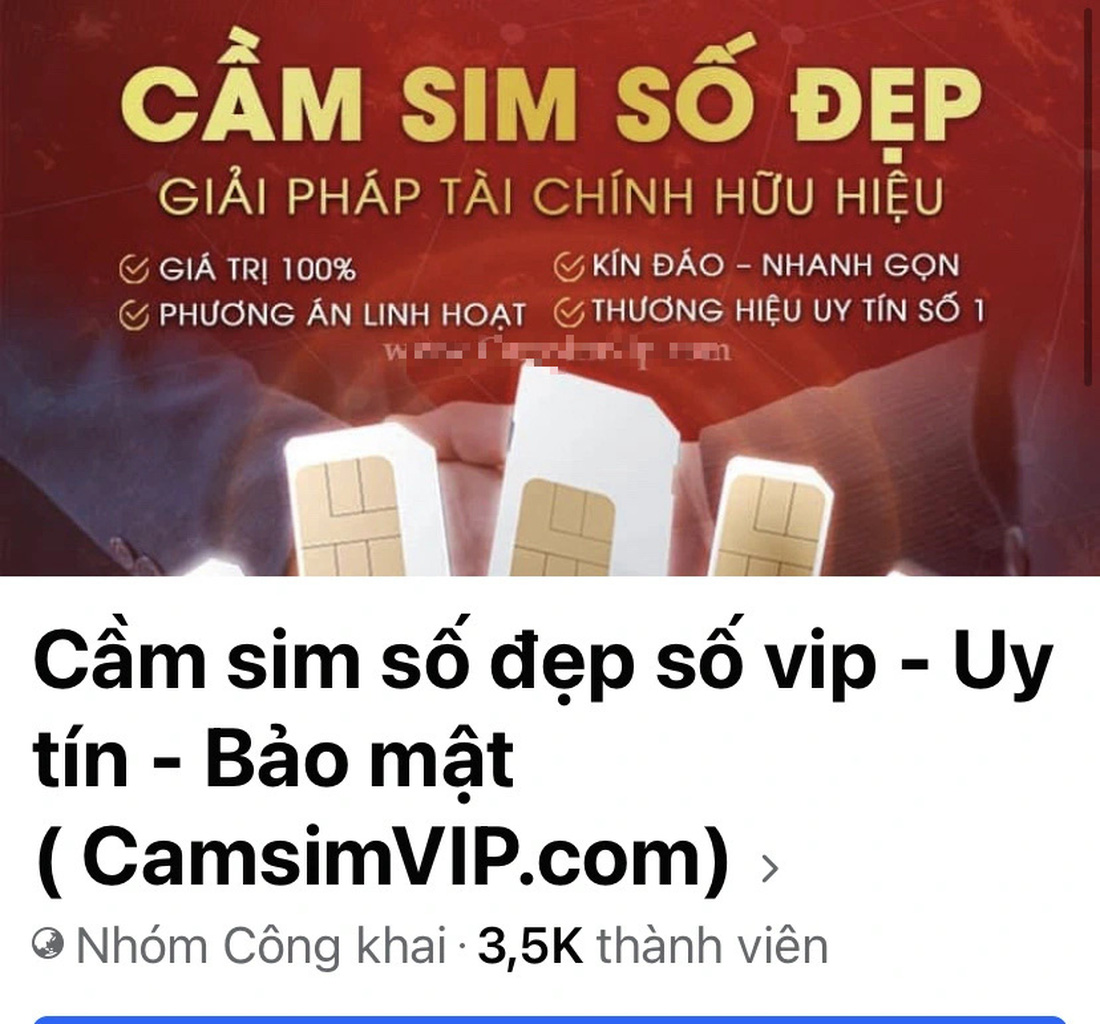 Trên mạng xã hôi có nhiều trang giới thiệu dịch vụ cầm sim số đẹp, số VIP - Ảnh: TRƯỜNG TRUNG chụp lại