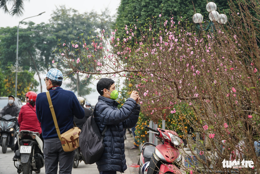 Chợ hoa Tết trên đường Lạc Long Quân, quận Tây Hồ, Hà Nội - Ảnh tư liệu: NGUYỄN HIỀN