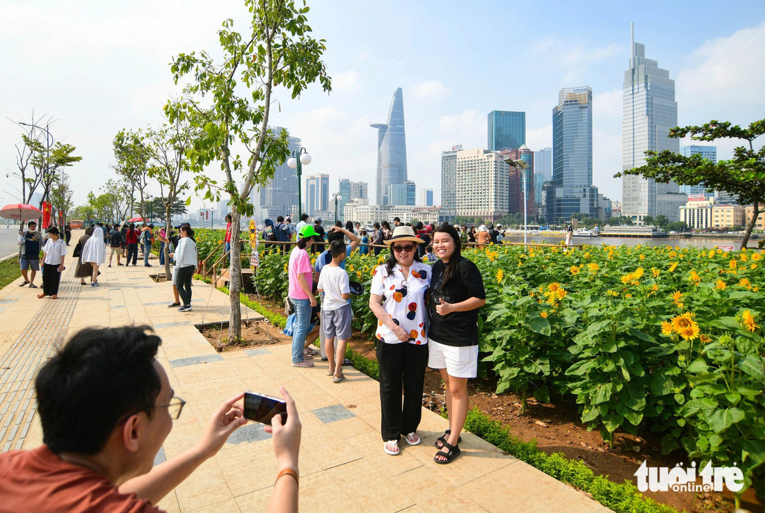 Khá đông người dân đến tham quan cánh đồng hoa hướng dương để tranh thủ chụp ảnh vườn hoa lung linh trong nắng - Ảnh: QUANG ĐỊNH