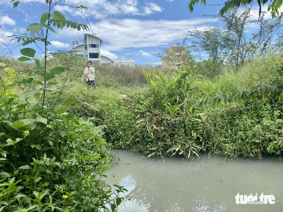 Một cống nước từ khu dân cư ở phường Hòa Xuân chảy thẳng ra sông Cẩm Lệ vào tháng 6-2023 - Ảnh: TRƯỜNG TRUNG