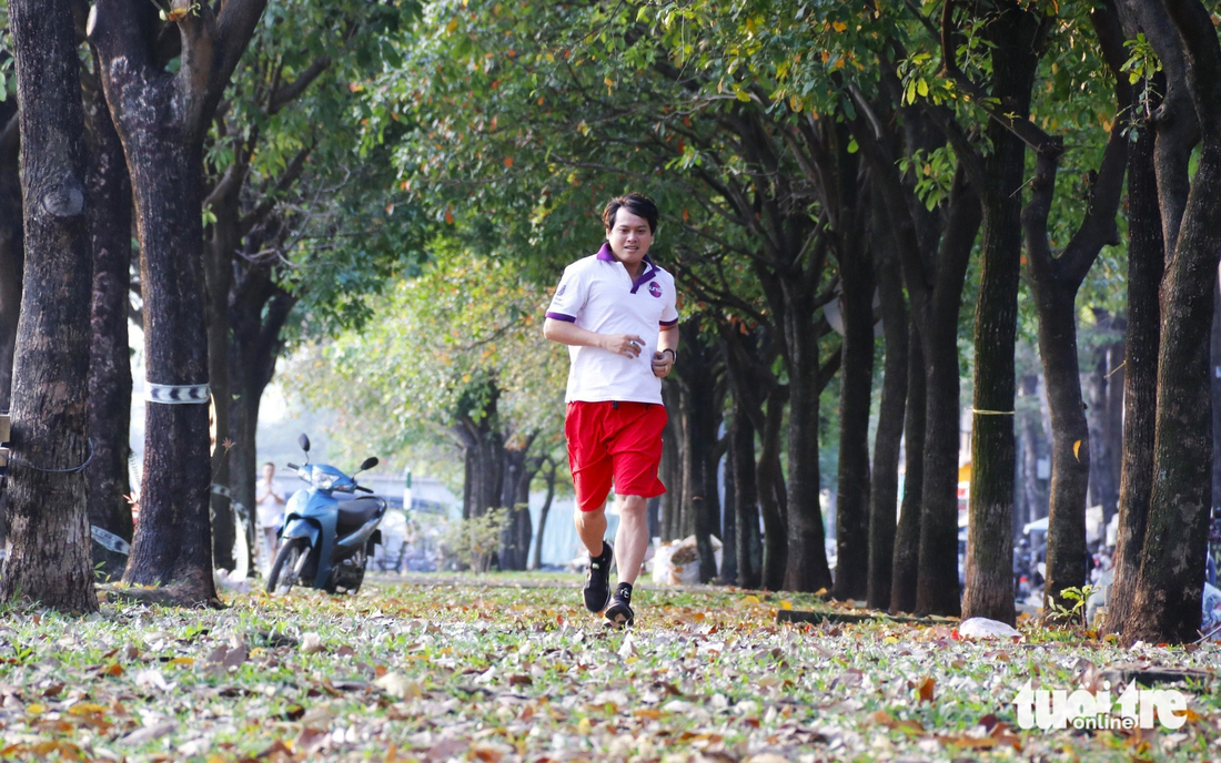 Nhiều người cho biết chạy bộ tập thể dục dưới hàng cây nghe lá rụng có cảm giác rất dễ chịu và bình yên - Ảnh: TIẾN QUỐC