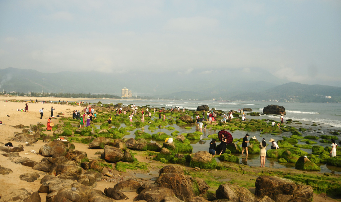 Người dân Đà Nẵng ùn ùn đổ về bãi rêu dọc biển để chụp ảnh - Ảnh 1.
