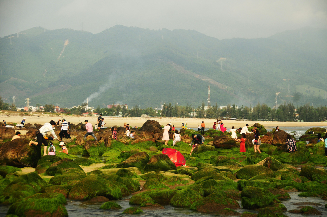 Người dân Đà Nẵng ùn ùn đổ về bãi rêu dọc biển để chụp ảnh - Ảnh 5.