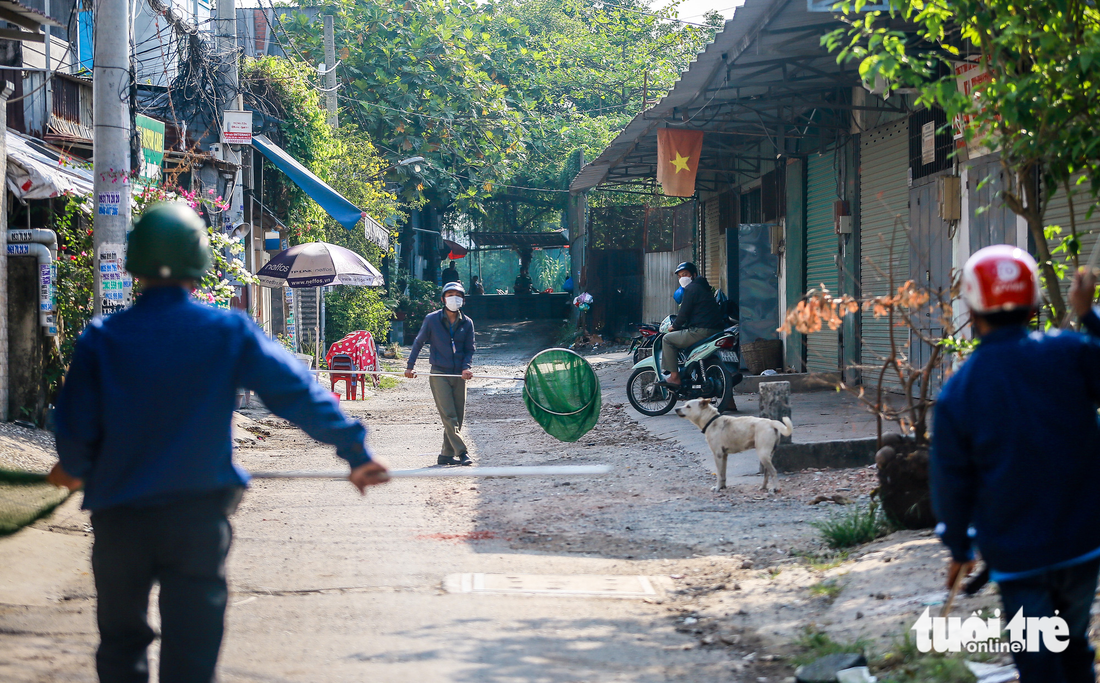 Thấy đội bắt chó thả rông, chủ ôm chó ‘tháo chạy’ - Ảnh 1.