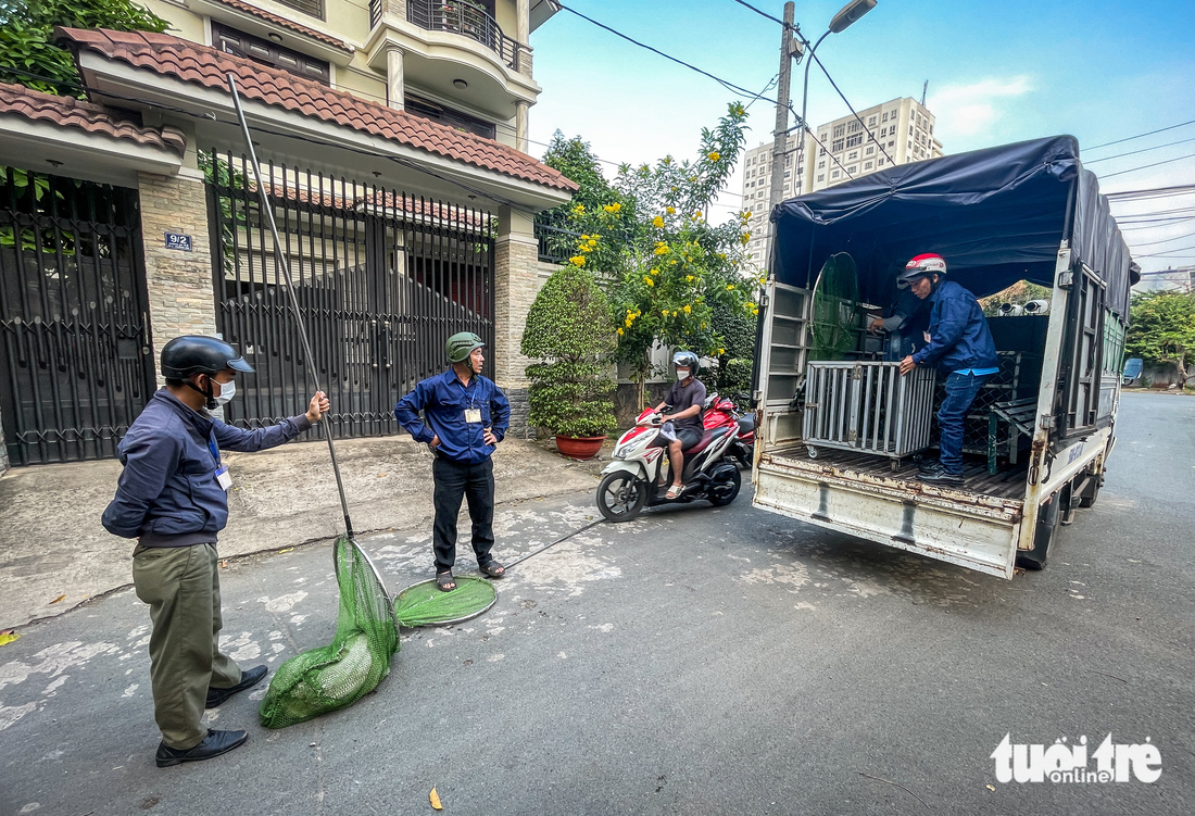 Thấy đội bắt chó thả rông, chủ ôm chó ‘tháo chạy’ - Ảnh 4.